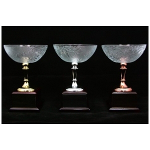 AVTG027-19CM