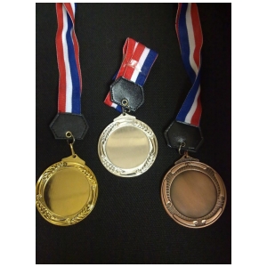 medals_2011