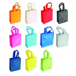 Non Woven Bag