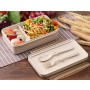 lunchbox-1
